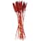 Dried Plant Bunny Tail Natural Foliage with Long Stems